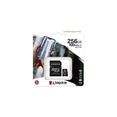 Kingston-klasse 10 Micro SD 256GB